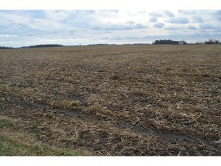 Property photo 27 - LAND AUCTION - 276.5+/- ACRES OFFERED IN 5 TRACTS IN EAST ALLEN COUNTY